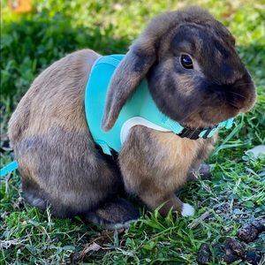 Meet your Posher, Mary